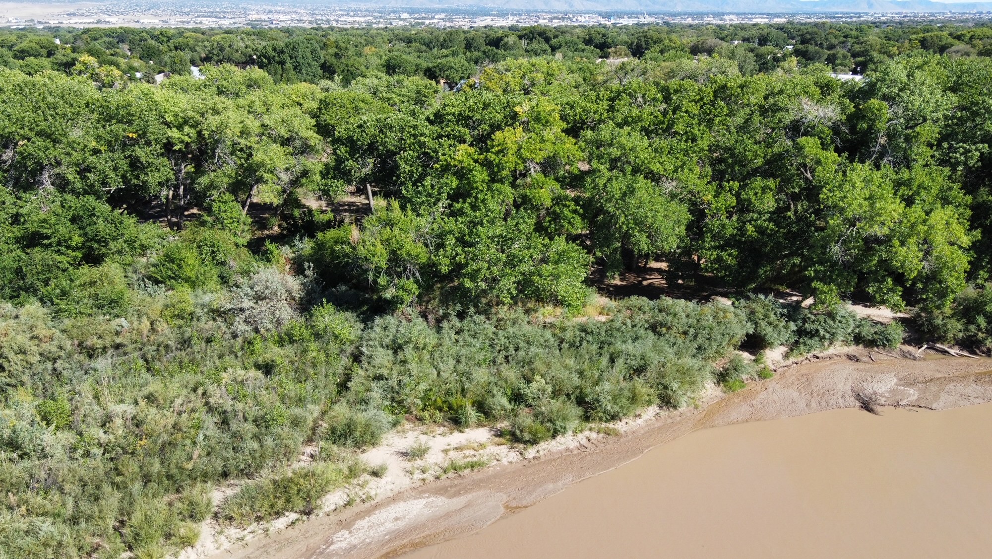 Rio Grande, Cotton Woods, Albuquerque, New Mexico Aerial Photograph